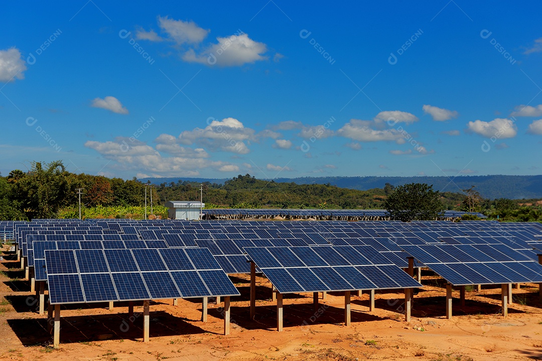 energia verde da fazenda solar da luz do sol mostra muita célula solar