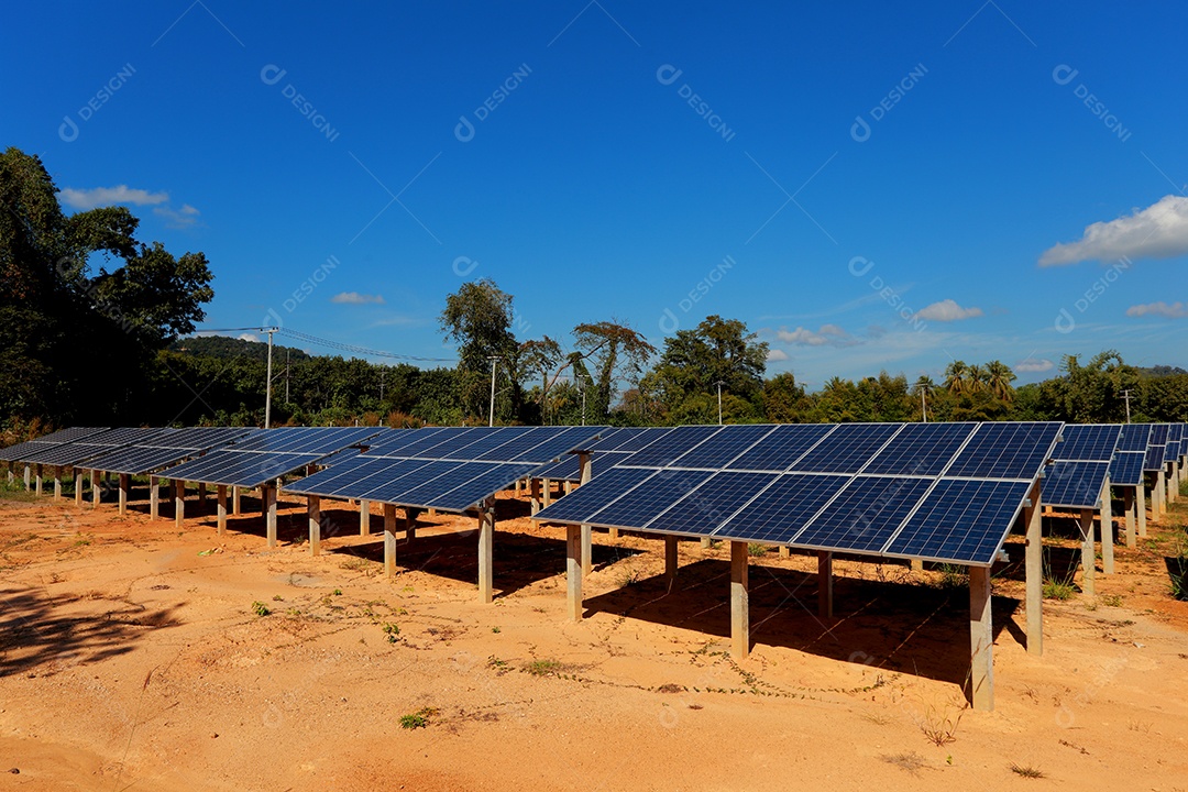 energia verde da fazenda solar da luz do sol mostra muita célula solar