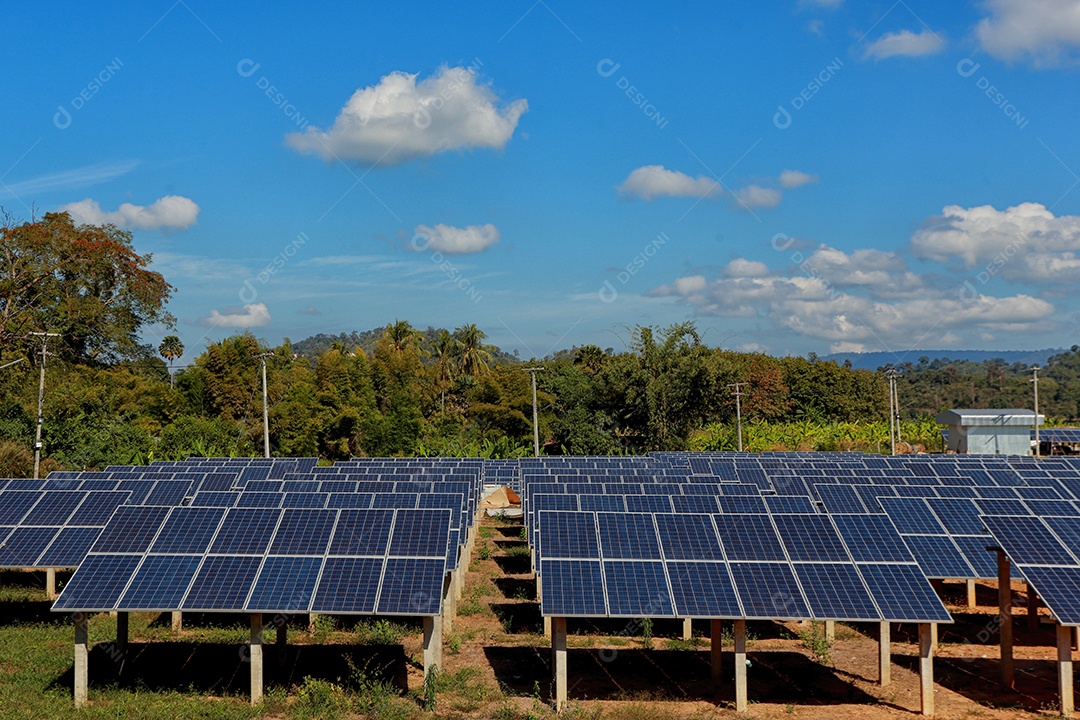 energia verde da fazenda solar da luz do sol mostra muita célula solar
