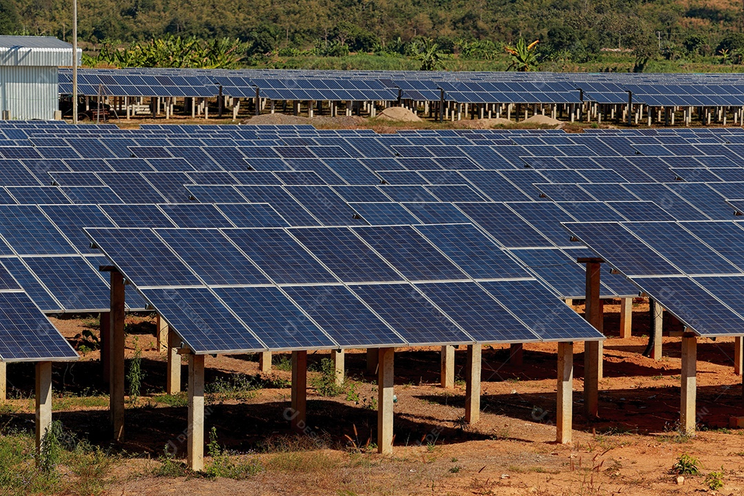 energia verde da fazenda solar da luz do sol mostra muita célula solar