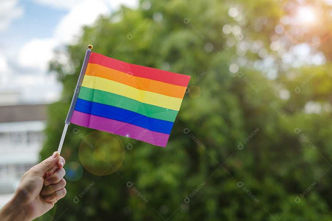mãos mostrando a bandeira LGBTQ Rainbow no fundo verde da natureza
