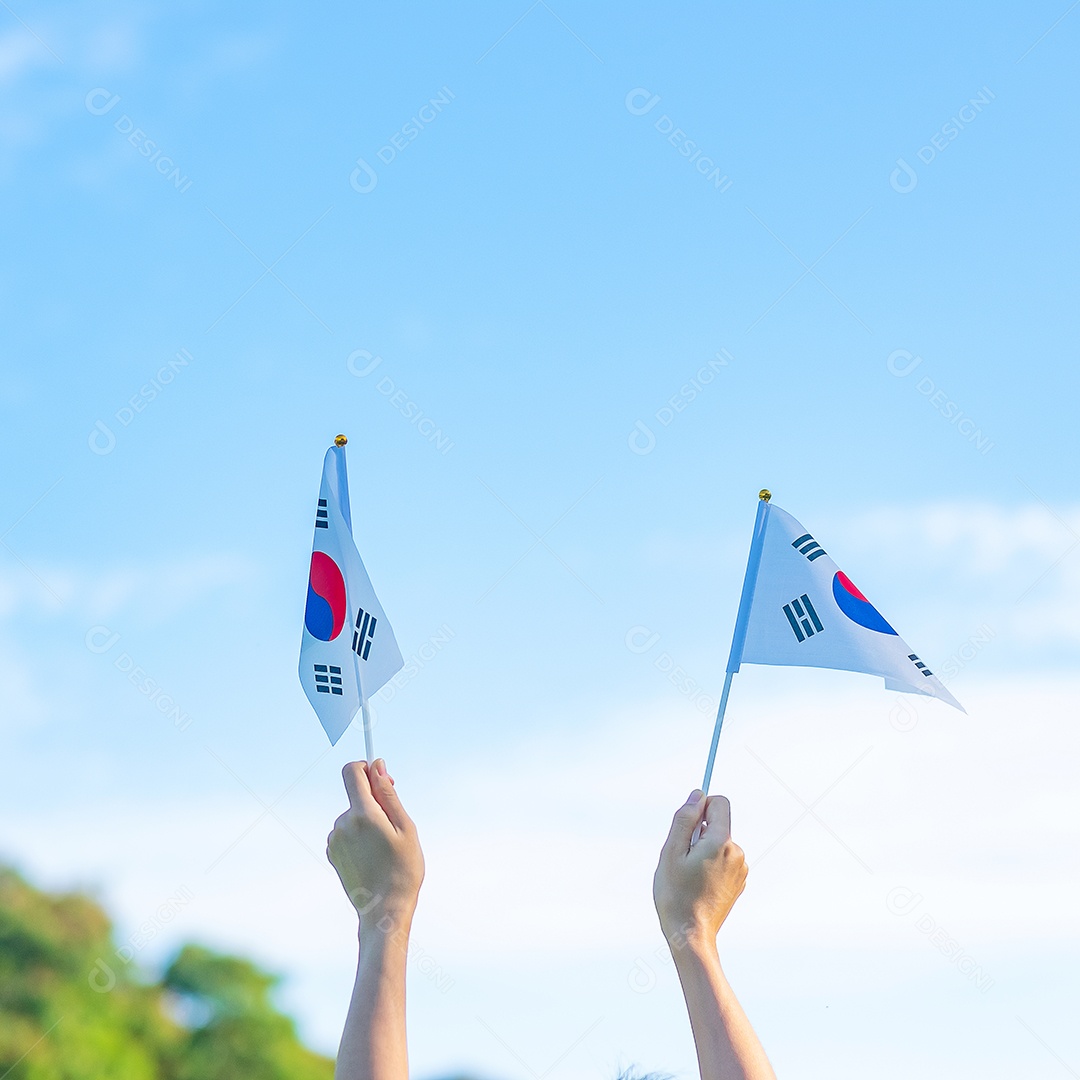 mão segurando a bandeira da Coreia no fundo da natureza. Fundação Nacional