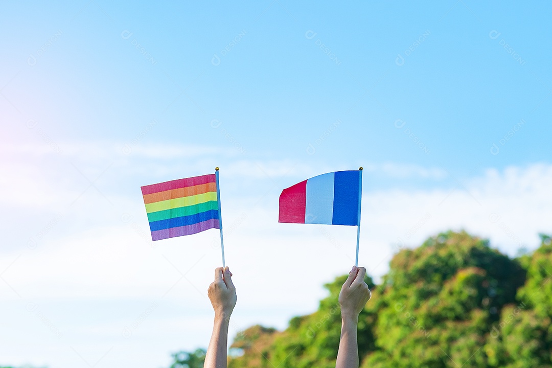Mãos mostrando LGBTQ Arco-íris e bandeira da França no fundo da natureza.
