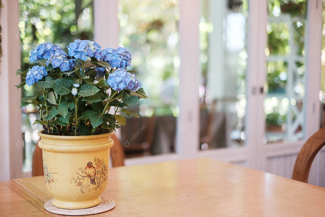Linda flor de hortênsia azul em vaso na mesa de madeira
