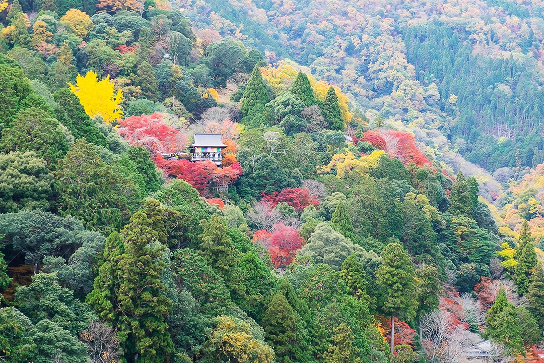 templo daihikaku senkoji com montanhas de folhas coloridas em Arash