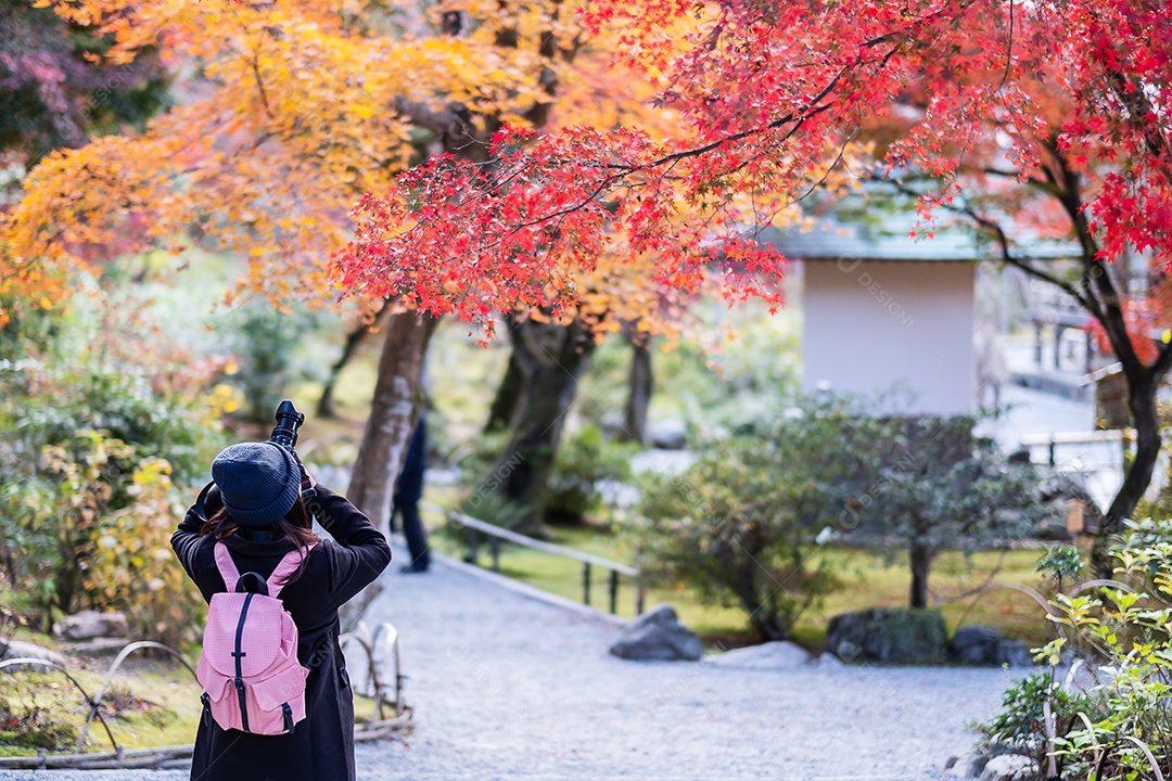 turista de mulher tirando foto de folhas coloridas pela câmera