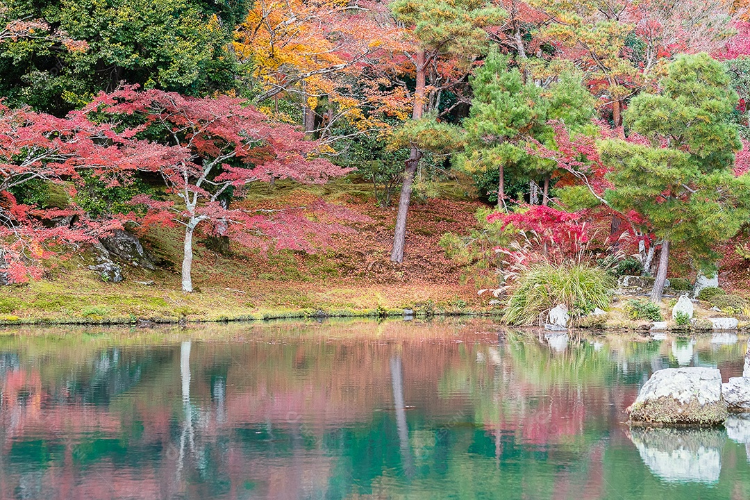 Jardim de folhas coloridas e lagoa dentro do templo Tenryuji, marco e popular para atrações turísticas em Arashiyama, Kyoto, Japão. Outono temporada, férias, férias e conceito de turismo