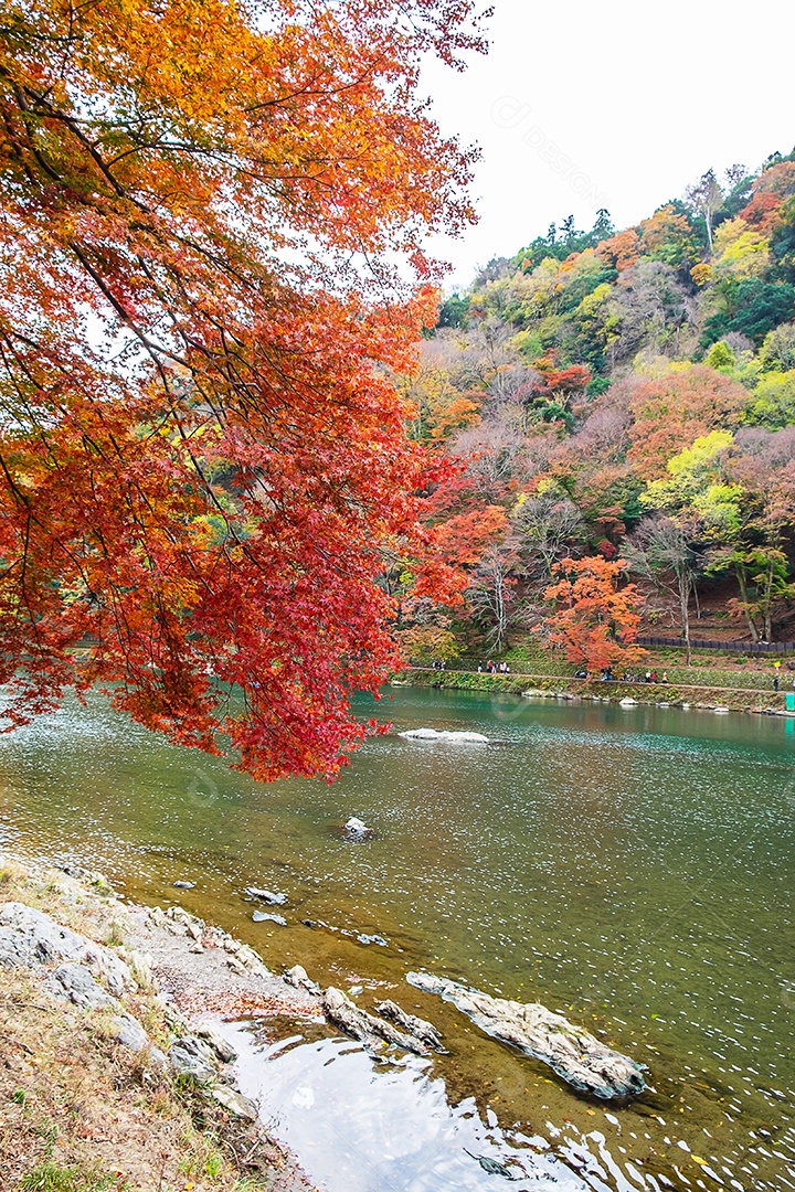 montanhas de folhas coloridas e rio Katsura em Arashiyama, terras