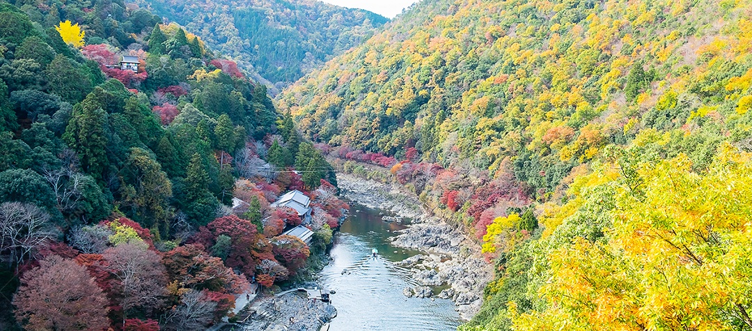 colorful leaf mountains and Katsura river in Arashiyama, terra