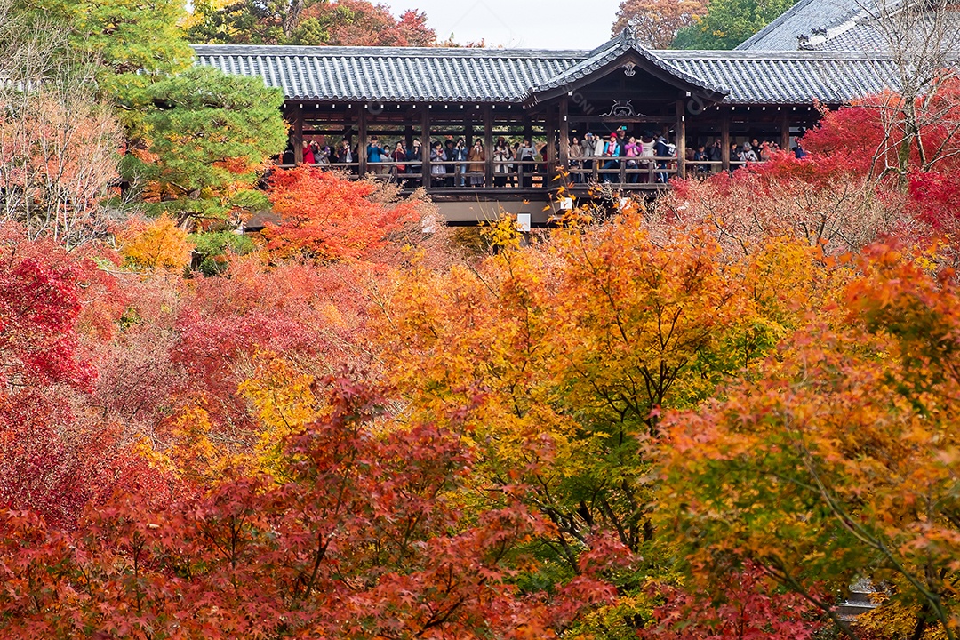 Folhas coloridas no jardim do templo Tofukuji, marco e famoso por atrações turísticas em Kyoto, Japão. Temporada de folhagem de outono, férias e conceito de viagem