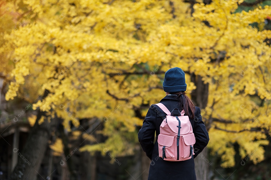 Mulher feliz desfruta no parque ao ar livre na temporada de outono, viajante asiático de casaco e chapéu contra o fundo Yellow Ginkgo Leaves