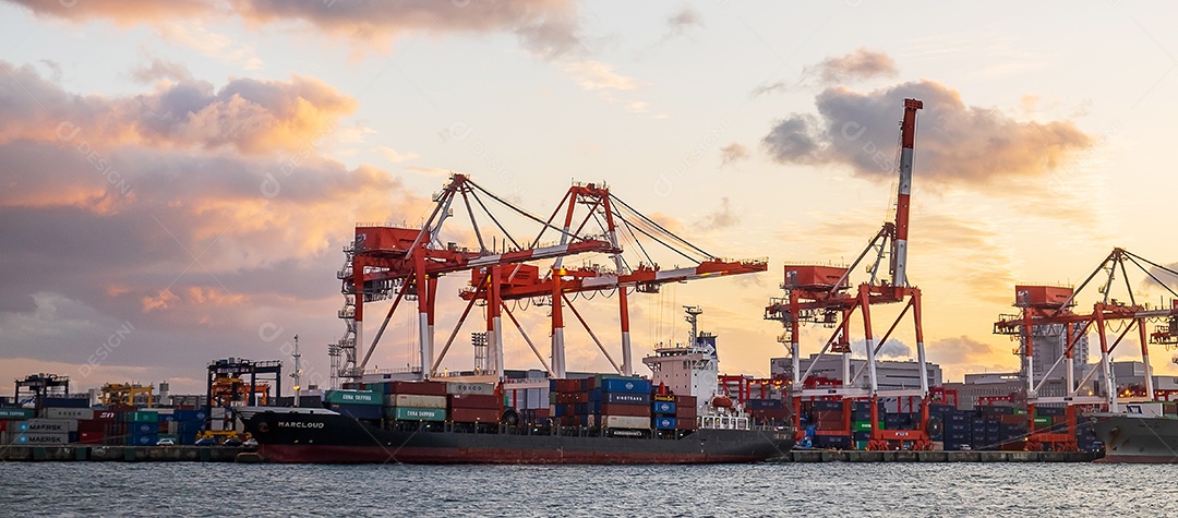 Guindaste de trabalho e contêiner Navio de carga da indústria de logística e transporte na cidade de Osaka. Osaka, Kansai, Japão, 28 de novembro de 2019