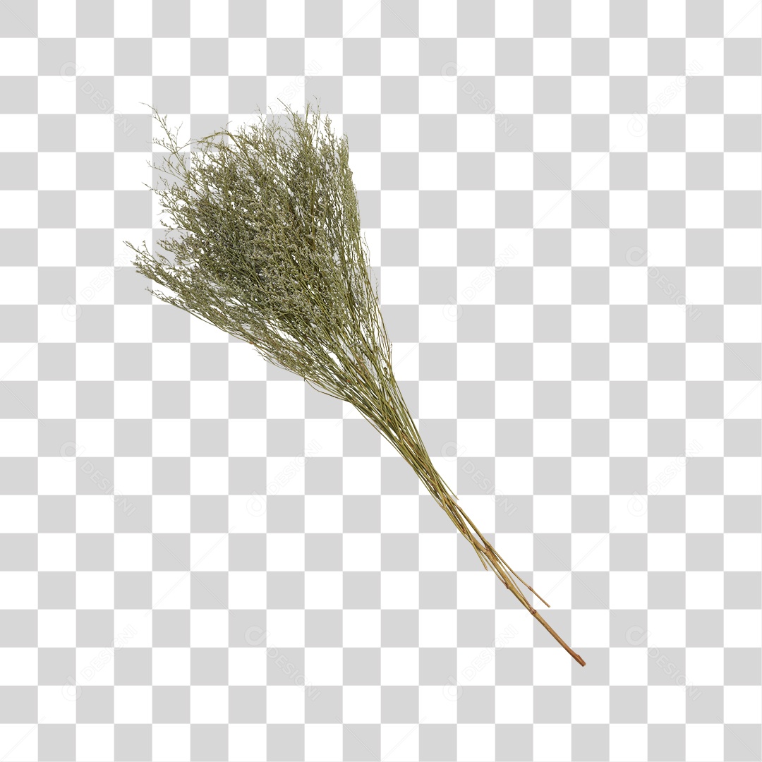 Bûque de Planta Desidratada PNG Transparente