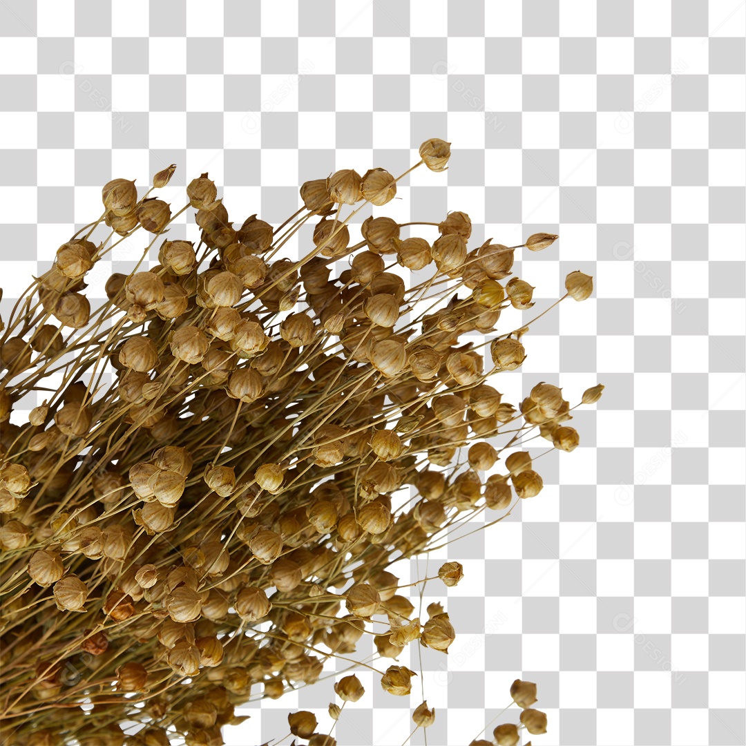 Planta Desidratada PNG Transparente