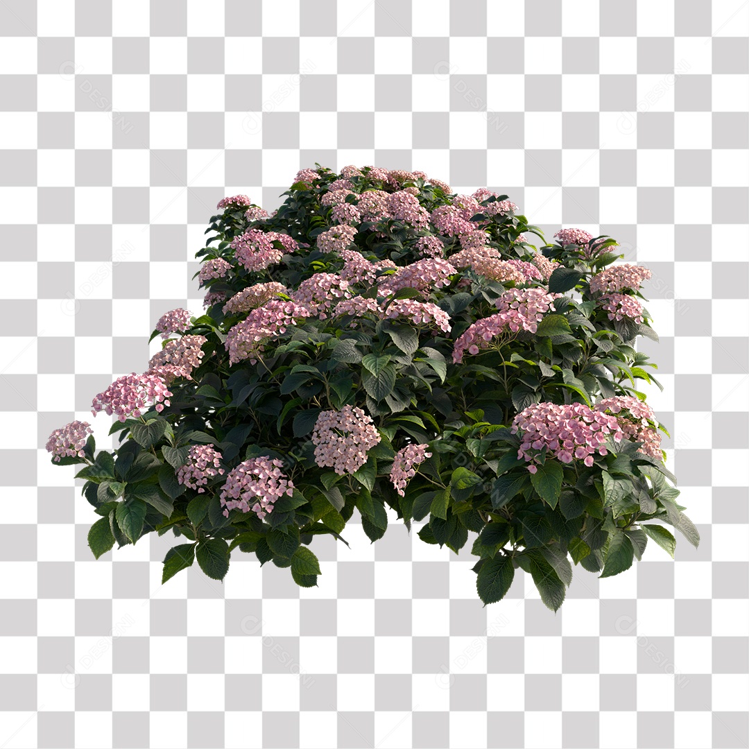 Planta com Flor PNG Transparente