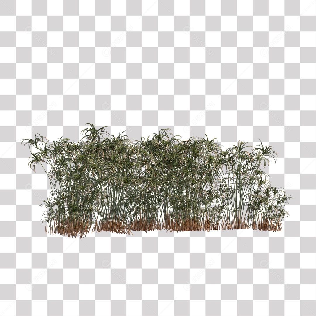 Green Leaf Tree Coconut Palm Plant Transparent PNG