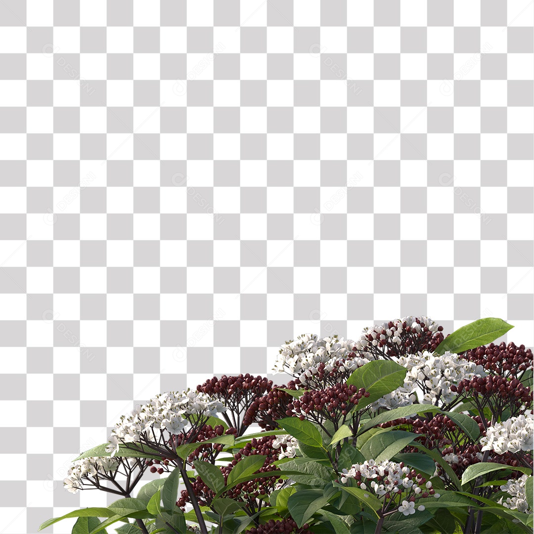 Planta com Flor PNG Transparente