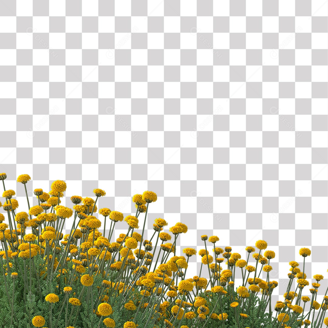 Planta com Flor PNG Transparente