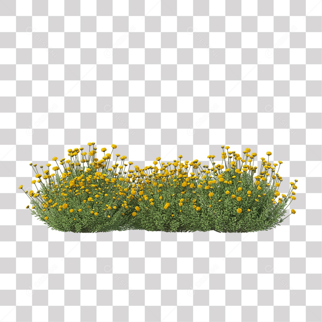 Planta com Flor PNG Transparente