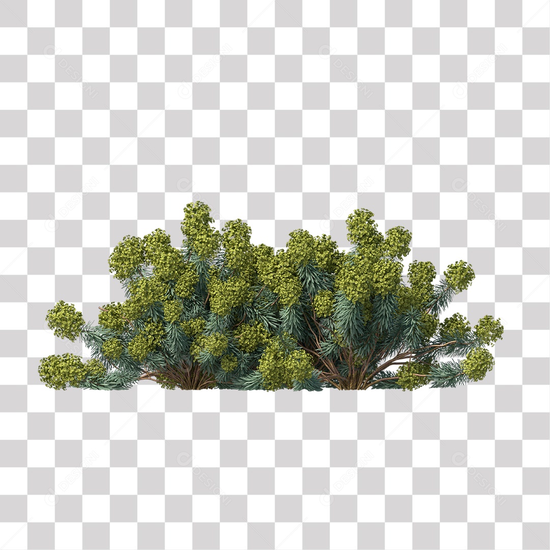 Planta com galhos e folha verdes PNG Transparente