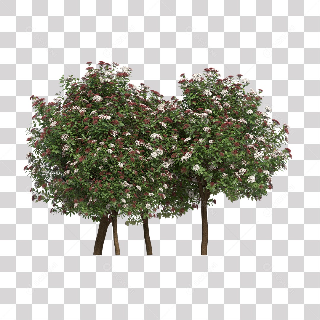 Planta com Flor PNG Transparente