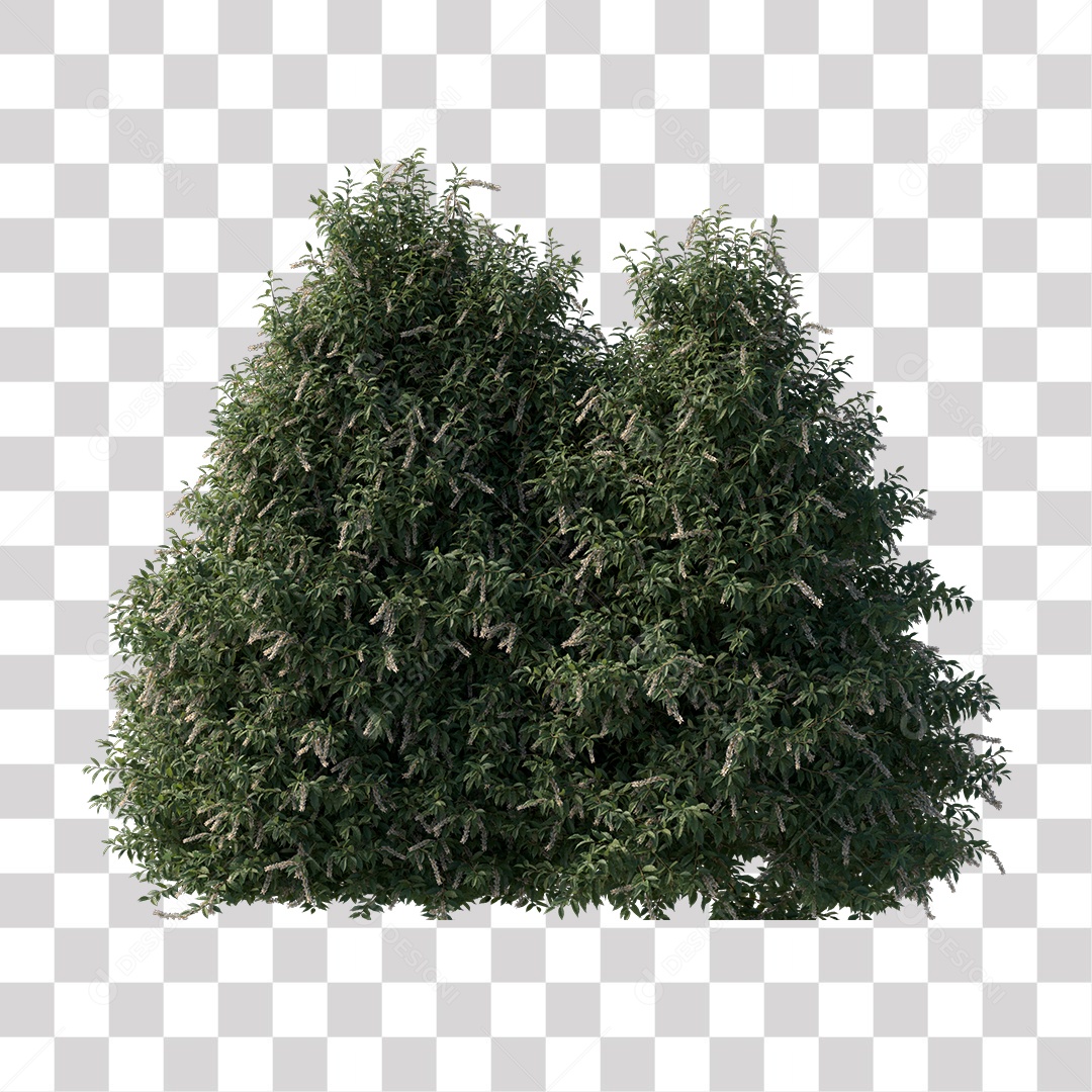 Árvore de Folha Verde Coqueiro Planta PNG Transparente