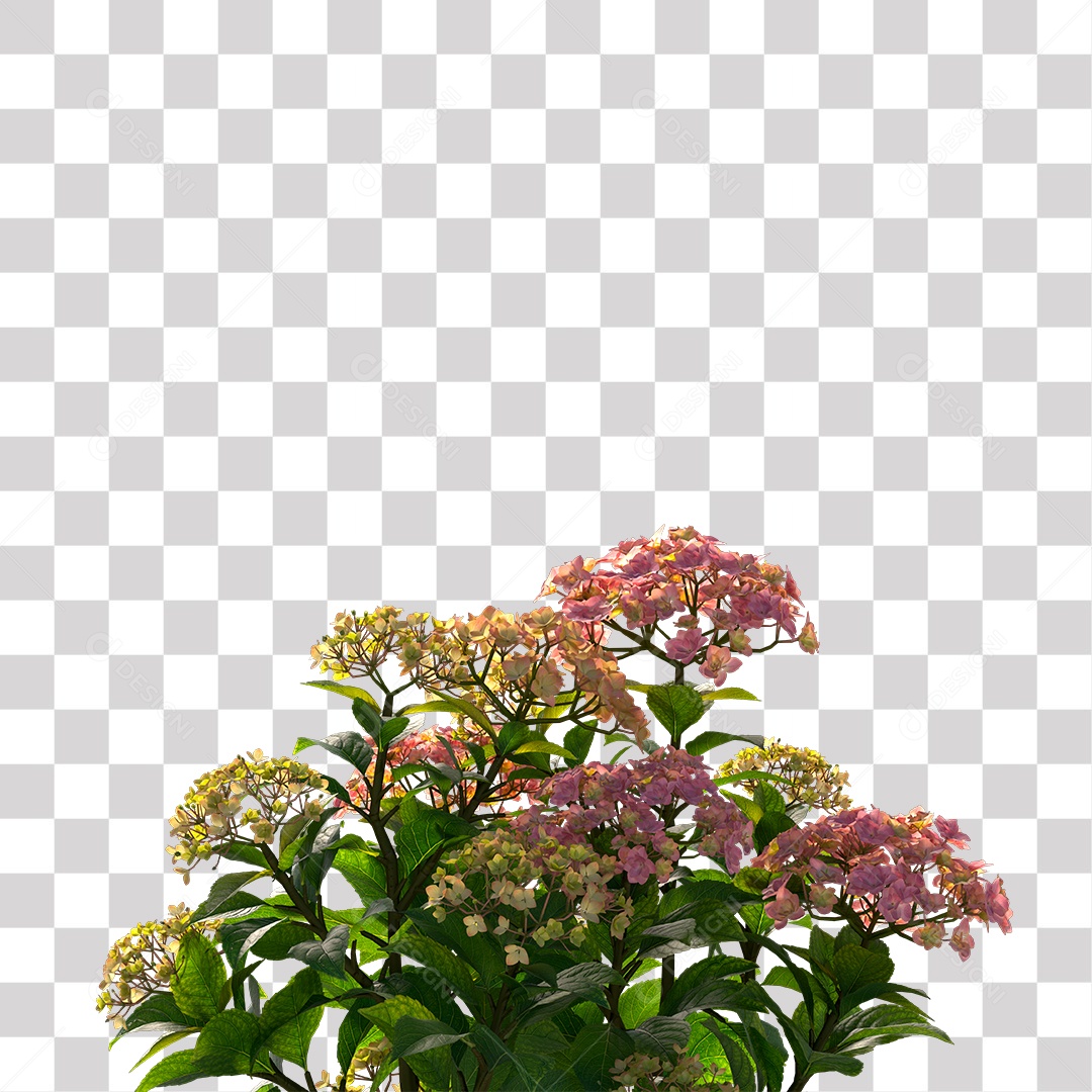 Planta com Flor PNG Transparente