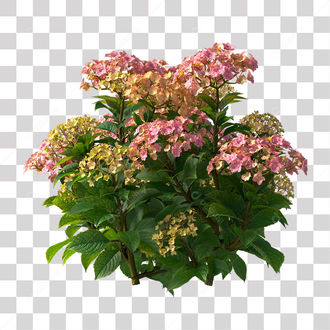 Planta com Flor PNG Transparente