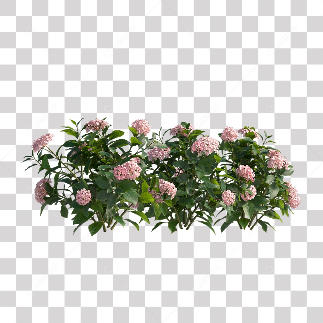 Planta com Flor PNG Transparente