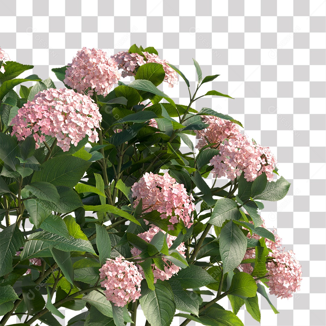 Planta com Flor PNG Transparente