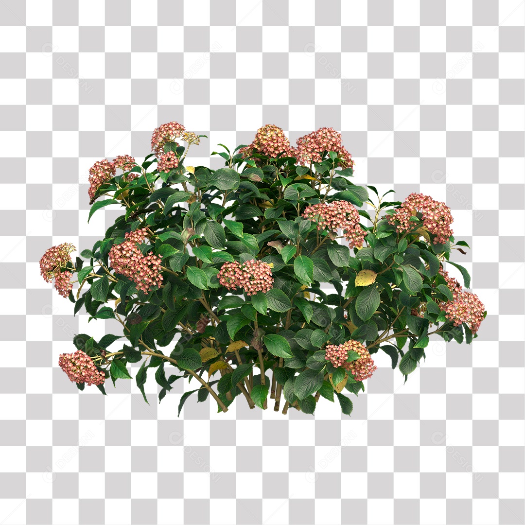 Planta com Flor PNG Transparente