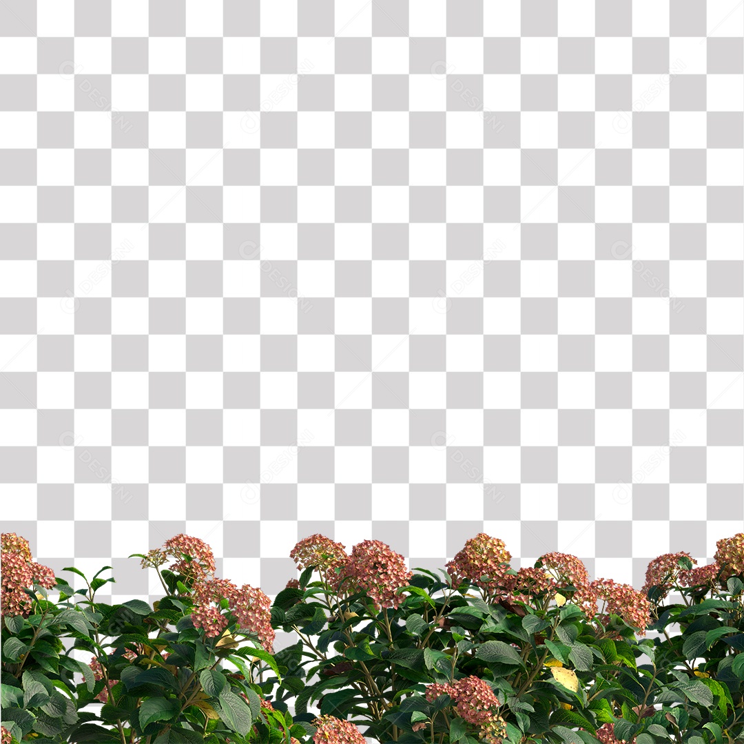 Planta com Flor PNG Transparente