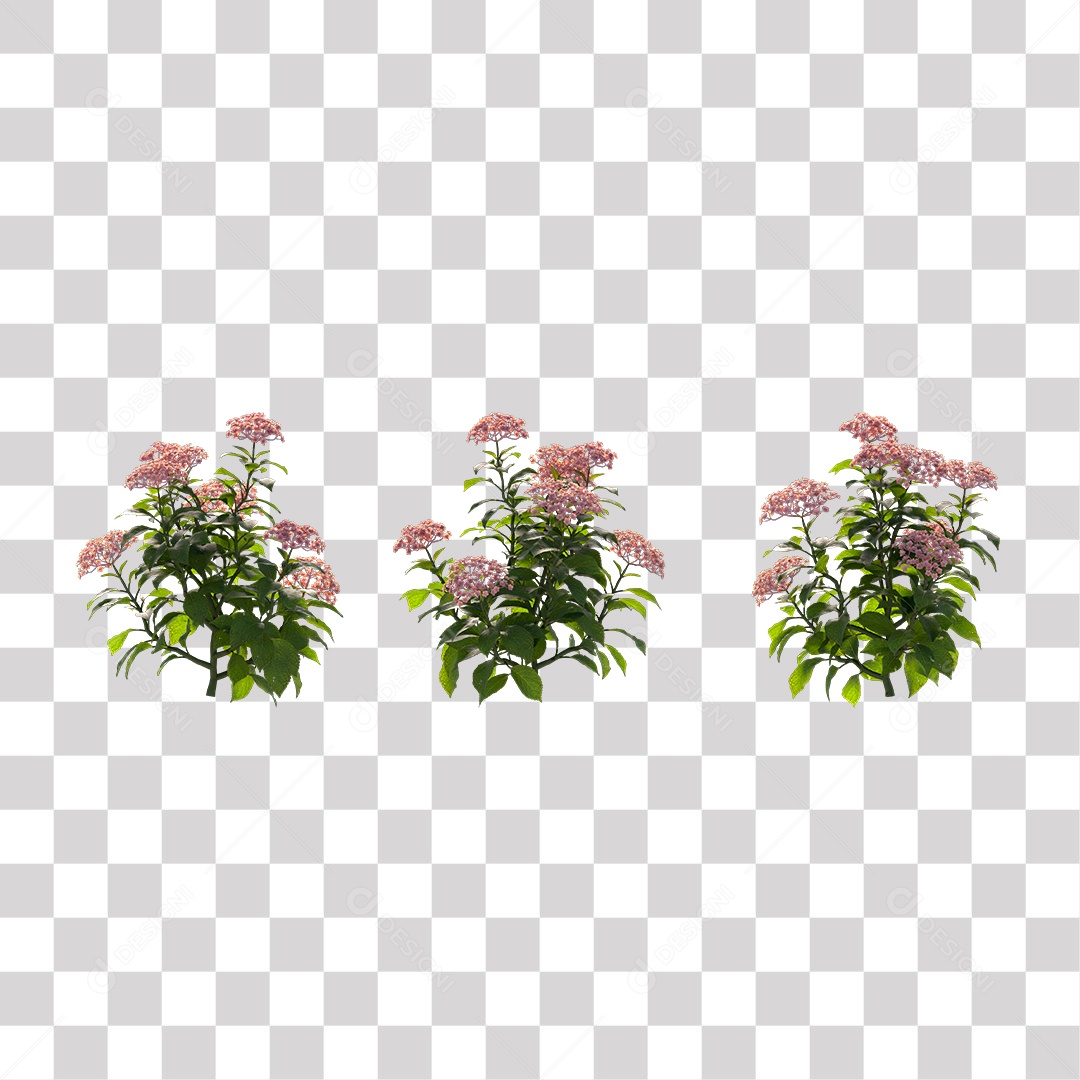 Planta com Flor PNG Transparente