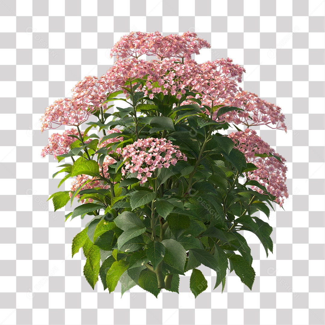 Planta com Flor PNG Transparente