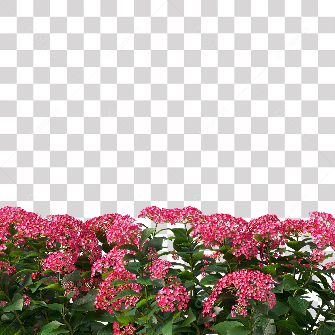 Planta com Flor PNG Transparente