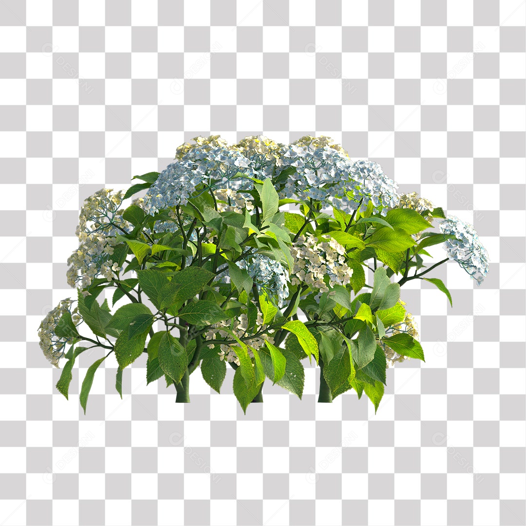 Planta com Flor PNG Transparente