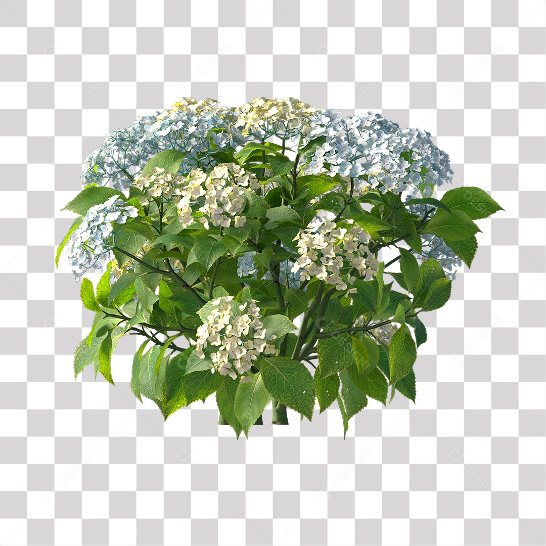 Planta com Flor PNG Transparente