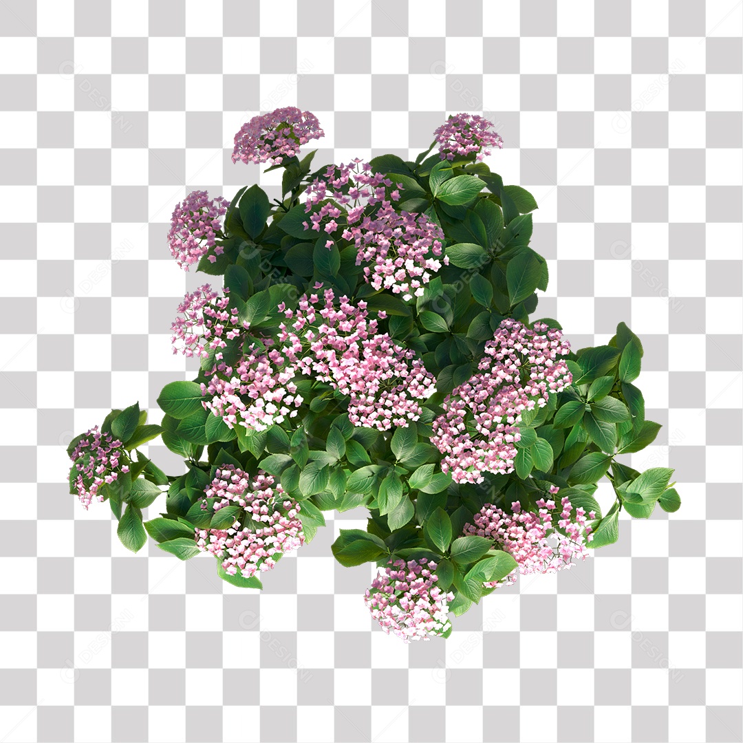 Planta com Flor PNG Transparente