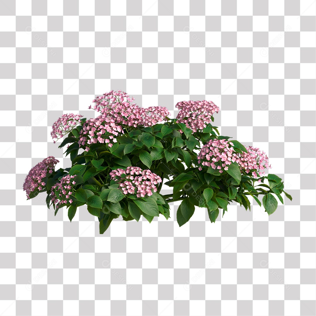 Planta com Flor PNG Transparente