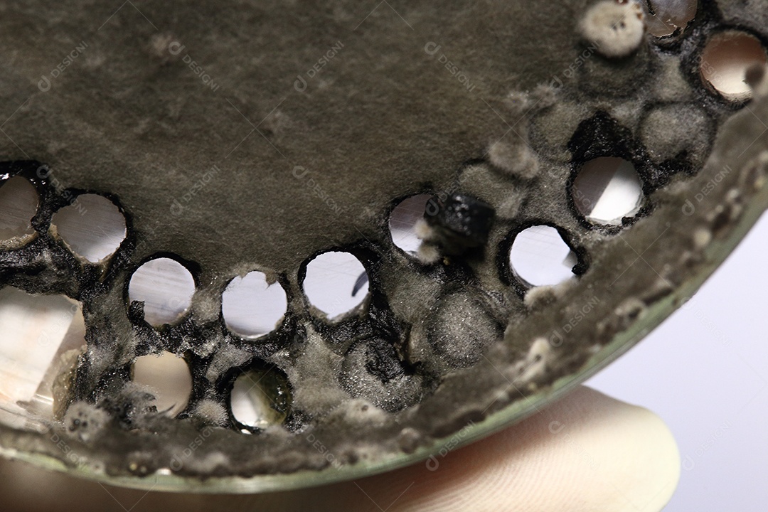 Pesquisa laboratoriais pesquisando fungos