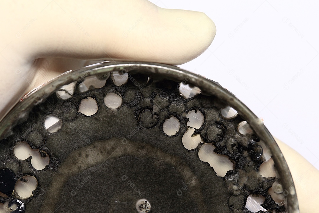 Microscópio fungos bactérias