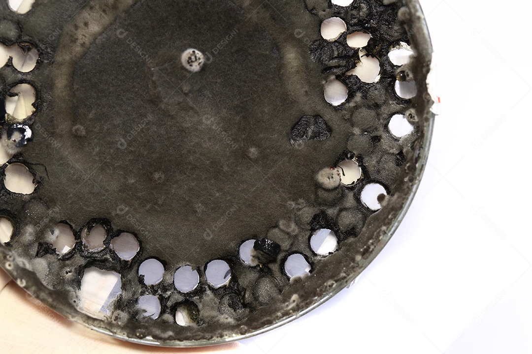 Microscópio fungos bactérias