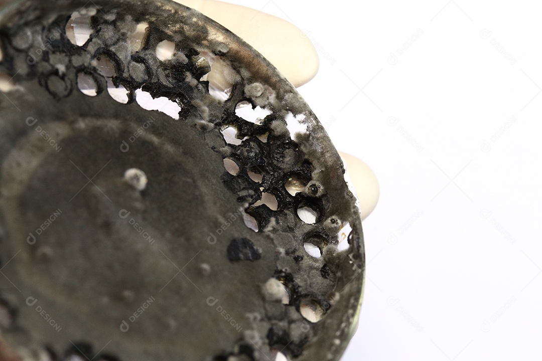 Pesquisa Laboratorial pesquisando fungos