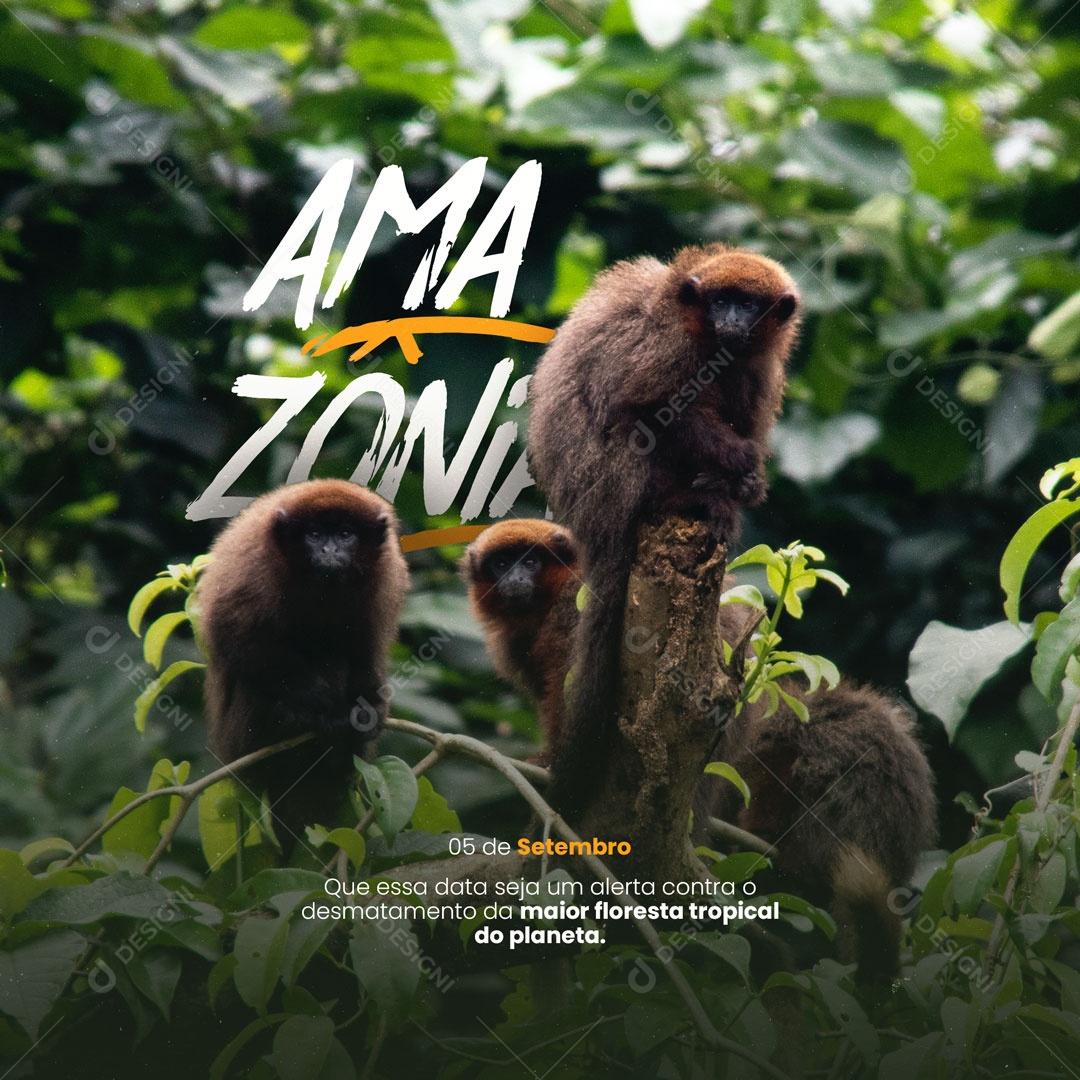 Dia da Amazónia 05 de Setembro Social Media PSD Editável