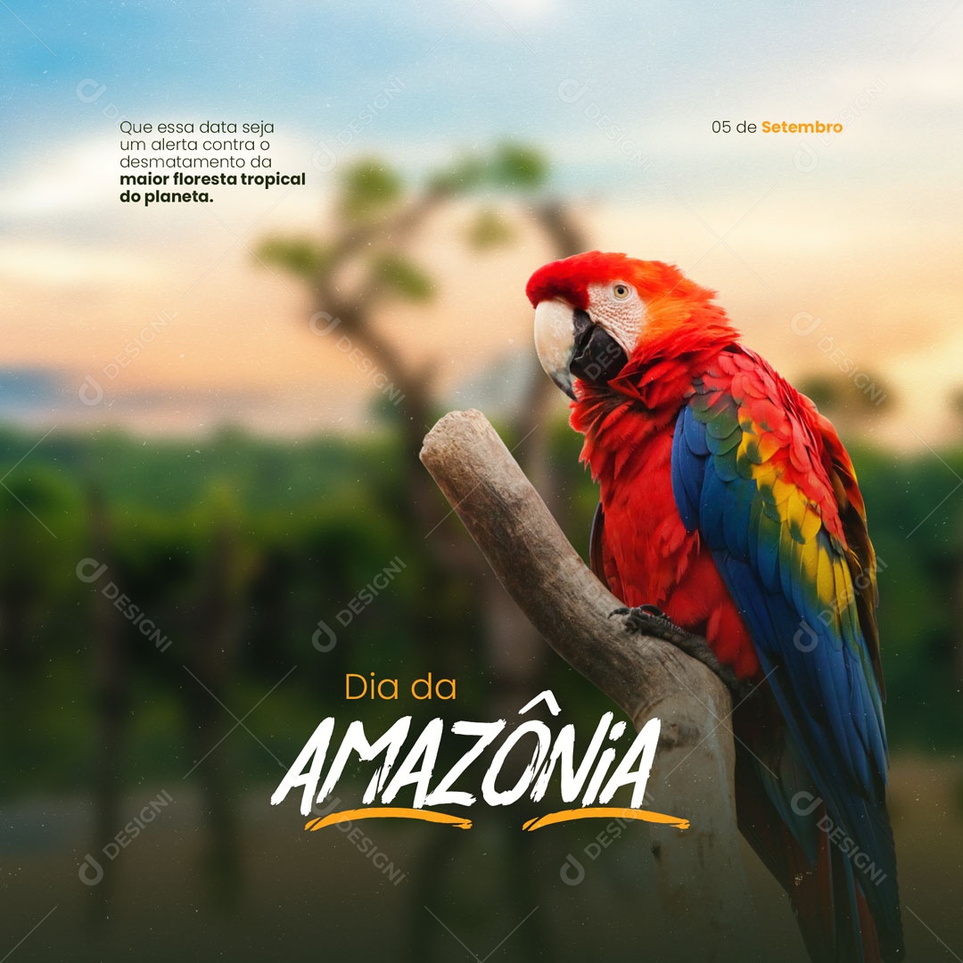 Social Media Dia da Amazónia 05 de Setembro PSD Editável
