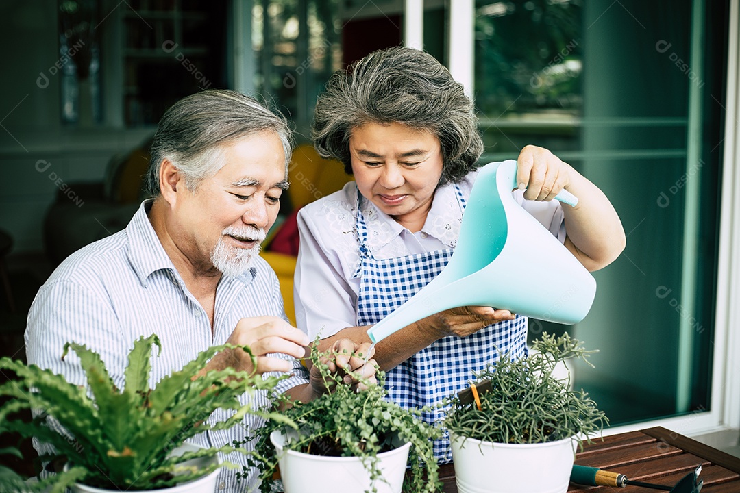 Casais de idosos conversando e plantando árvores em vasos.