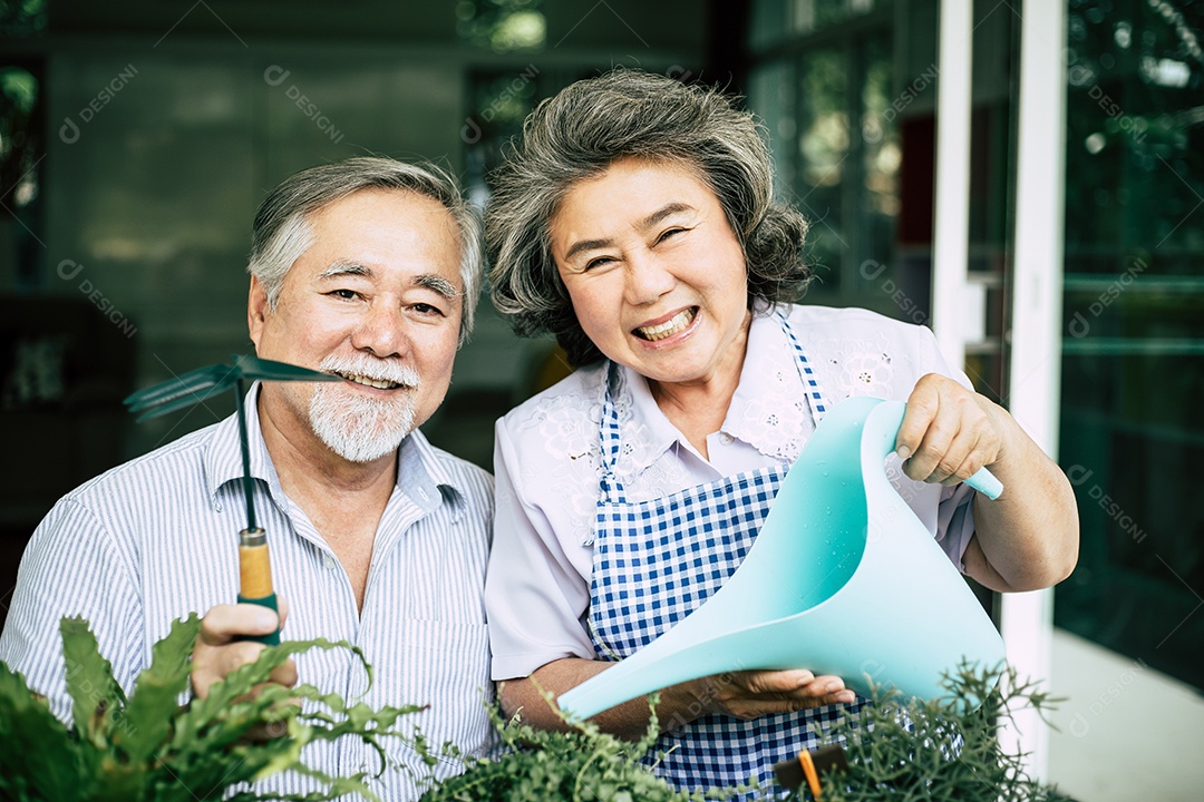 Casais de idosos conversando e plantando árvores em vasos.