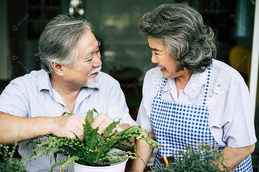Casais de idosos conversando e plantando árvores em vasos.