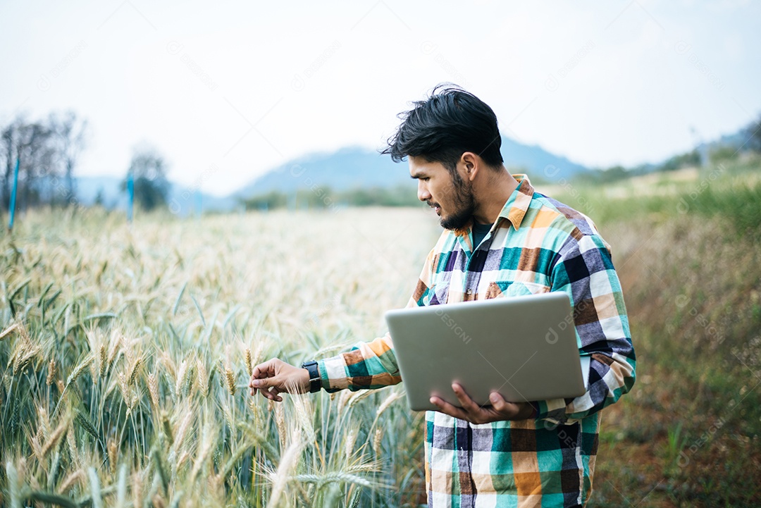 Agricultor inteligente, verificando a fazenda de cevada com computador portátil