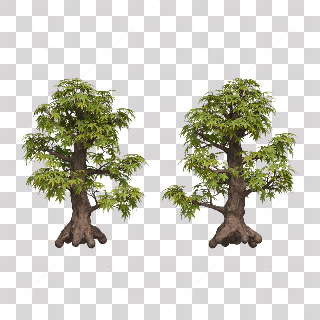 Árvore de Folha Verde Coqueiro Planta PNG Transparente